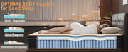 Bed in a Box vs. Traditional Mattress: Which Is Better?