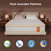 Om Vasudhare Memory Foam Hybrid Mattress
